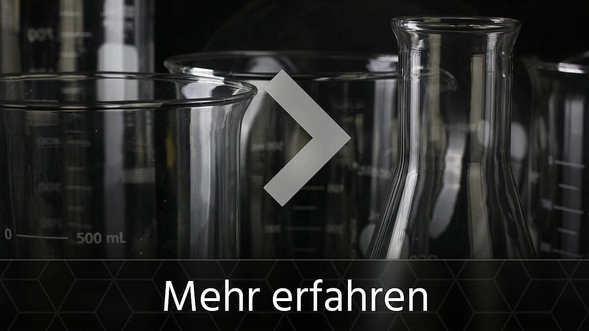 Mehr zum Studium in Rostock