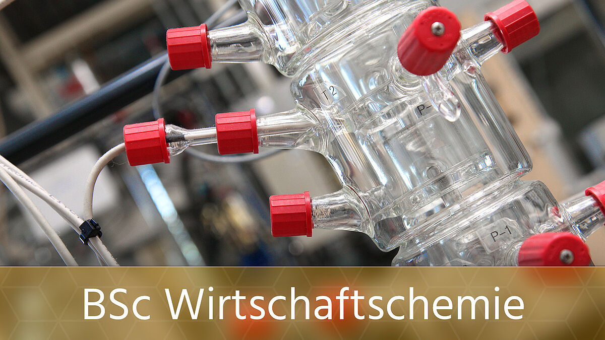BSc Wirtschaftschemie